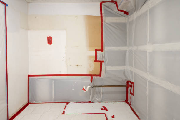 Best Forensic Mold Investigation  in Calumet City, IL